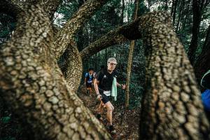 BIB: 
                            <button type="button" onclick="openModal(25392982)" class="btn btn-primary btn-sm float-right btn-popup" data-toggle="modal" data-target=".modal-high-quality">
                        <i class="fas fa-shopping-cart"></i> Add to Cart
                    </button>
                                            <button type="button" onclick="isThisMe(25392982, true)" class="btn btn-success btn-sm float-right btn-popup btn-isme hidden" data-toggle="tooltip" data-placement="bottom" title="นี่คือรูปของคุณใช่ไหม คลิกที่นี่เพื่อเอาเข้าอัลบั้ม">
                        <i class="fas fa-plus"></i> Add to album
                    </button>
                    <button type="button" onclick="isThisMe(25392982, false)" class="btn btn-warning btn-sm float-right btn-popup btn-isnotme hidden">
                        <i class="fas fa-ban"></i> Remove from album
                    </button>